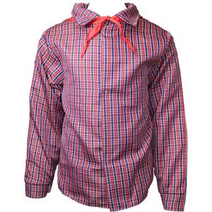 Fantasia Festa Junina Camisa Xadrez 100 % Poliéster Tamanho M Azul - Regina Festas