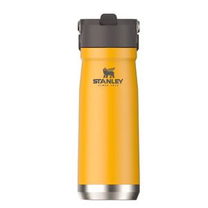 Garrafa de Hidratação Flip Straw Inox Saffron 650ml - Stanley
