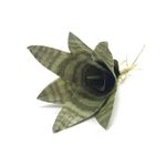 Mini_Espada_São_Jorge_Verde_X6_Cx360_-_Winmax