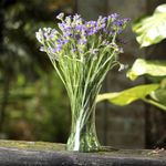 Vaso_Decorativo_Julieta_22cm_-_Vitazza