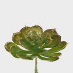 Pick_Suculenta_Verde/dourado_12cm_-_Grillo
