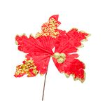 Haste_Floral_Poinsettia_Rosa_20cm_-_Bela_Flor
