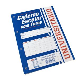 Bloco Folhas Soltas Universitário Com Furos 1 Matéria 96 Folhas - São Domingos