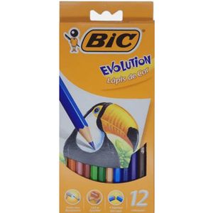 Lápis de Cor Evolution Com 12 Cores - Bic
