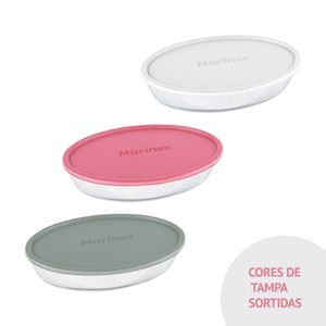 Assadeira Oval Pequena 2,4 Litros com Tampa Marinex Sortida - Nadir