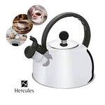 Chaleira_de_Inox_2l_Prata_Com_Apito_-_Hércules
