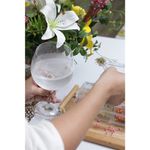 Jogo_02_Taças_de_Cristal_para_Gin_Bohemia_620ml_-_Hauskraft