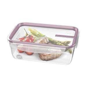 Pote Plástico Transparente Com Travas Tampa Açaí 1,24l - Sanremo