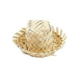 Mini Chapéu Junino de Palha 10 Unidades - Brdecor