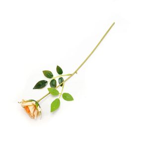 Mini Galho Rosa X1 Salmão Cx360 43cm W300147SL - Winmax