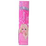 Conjunto_de_Beleza_Com_Secador,_Escova_E_Bijuterias_Plástico_Ref.LJM107_honeyhome