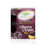 Vela_Perfumada_Ameixa_Negra_60g_Ref.968_Amazônia_Aromas