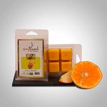 Essência_Fruit_Splash_Wax_Melts_Ref.9346_Kashimir