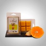 Essência_Fruit_Splash_Wax_Melts_Ref.9346_Kashimir