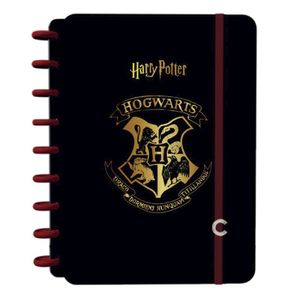 Caderno Inteligente Capa Dura 172x231mm Harry Potter Sortido 1 Matéria 80 Folhas 7573924 - Jandaia