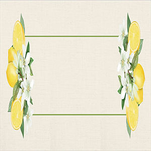 Trilho Mesa Limão Sidra 143x46cm TM6209 - Nsw