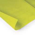 Papel_Crepom_Mais_Verde_Folha_Rolo_48cm_X_2_Metros_Ref.030009_Ridet