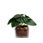 Vaso_Quadrado_Com_Folhagens_Sortidas_Vidro_23x8x8cm_Ref.DF221_Dila_Flores