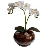 Vaso_Aquário_Com_Orquídea_Sortida_Vidro_35x28x14cm_Ref.DF222_Dila_Flores