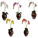 Vaso_Aquário_Com_Orquídea_Sortida_Vidro_35x28x14cm_Ref.DF222_Dila_Flores
