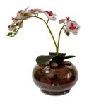 Vaso_Aquário_Com_Orquídea_Sortida_Vidro_35x28x14cm_Ref.DF222_Dila_Flores