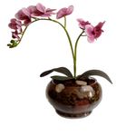 Vaso_Aquário_Com_Orquídea_Sortida_Vidro_35x28x14cm_Ref.DF222_Dila_Flores