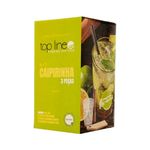 Kit_Caipirinha_3_Peças_544_-_Top_Line
