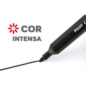 Caneta Hidrográfica Color Preta 850 Junior Blister 1 Unidade - Pilot