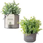 Vaso_Planta_Harmonia_Artificial_Ferro_Pvc_10x10x22cm_Ref.LM1758_honeyhome