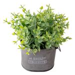 Vaso_Planta_Harmonia_Artificial_Ferro_Pvc_10x10x22cm_Ref.LM1758_honeyhome