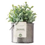 Vaso_Planta_Harmonia_Artificial_Ferro_Pvc_10x10x22cm_Ref.LM1758_honeyhome
