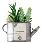 Vaso_Jardineira_Planta_Harmonia_Ferro_Pvc_Sortido_10x10x22cm_Ref.LM1759_honeyhome