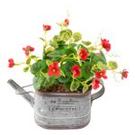 Vaso_Jardineira_Com_Flor_Artificial_Harmonia_Sortidos_Plástico_10,5x8x19cm_Ref.LM1760_honeyhome