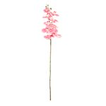 Flor_Artificial_Orquídea_Phalaenopsis_Rosa_Harmonia_Plástico_105cm_LM1766_-_honeyhome