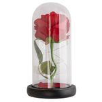 Flor_Eterna_Rosa_Sortida_Base_Madeira_Com_Led_(pilha_Aaa)_Cúpula_de_Vidro_11,5x21cm_Ref.LM2386_honeyhome