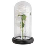 Flor_Eterna_Rosa_Sortida_Base_Madeira_Com_Led_(pilha_Aaa)_Cúpula_de_Vidro_11,5x21cm_Ref.LM2386_honeyhome