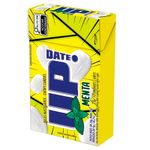 Bala_Mastigavel_Update_Sabor_Menta_25g_7891151042192_-__Riclan