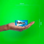 Chiclete_Trident_Hortelã_Menta_8g_786_-_Mondelez
