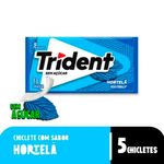 Chiclete_Trident_Hortelã_Menta_8g_786_-_Mondelez