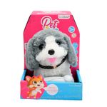 Meu_Pet_Companhia_Pequeno_Com_Mecanismo_Plástico_Sortido_LJM185_-_honeyhome