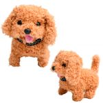 Meu_Pet_Companhia_Pequeno_Com_Mecanismo_Plástico_Sortido_LJM185_-_honeyhome