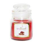Vela_Aromática_Twisted_Cranberry_Com_Pote_de_Vidro_128g_Ref.4570_Ampliscent