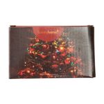 Pisca-pisca_100_Leds_Colorido_Fio_Preto_8_Funções_9_Metros_127v_-_honeyhome