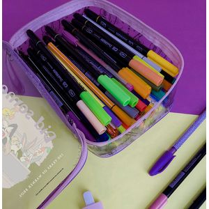 Estojo Organizador Baú Grande Cristal Warner 100 Pvc Cristal 4079 - Dac