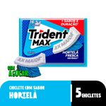 Chiclete_Max_Hortelã_Fresca_16,5g_-_Trident