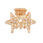 Kit_Prendedores_de_Cabelo_Estrelas_Liga_de_Alumínio_Sortidas_2_Peças_2,8x2,1x2cm_Ref.LM2795_honeyhome