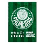 Caderno_Universitário_Capa_Dura_Palmeiras_10_Materias_Sortidos_160_Folhas_284339_-_Credeal