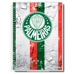 Caderno_Universitário_Capa_Dura_Palmeiras_10_Materias_Sortidos_160_Folhas_284339_-_Credeal