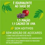 Suco_100%_Natural_Uva_E_Maçã_300ml_-_Natural_One