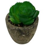 Mini_Suculenta_Artificial_Sortida_Vaso_Planta_Honey_Home_LM0698